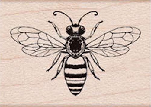 Animal Things Wood Stamps