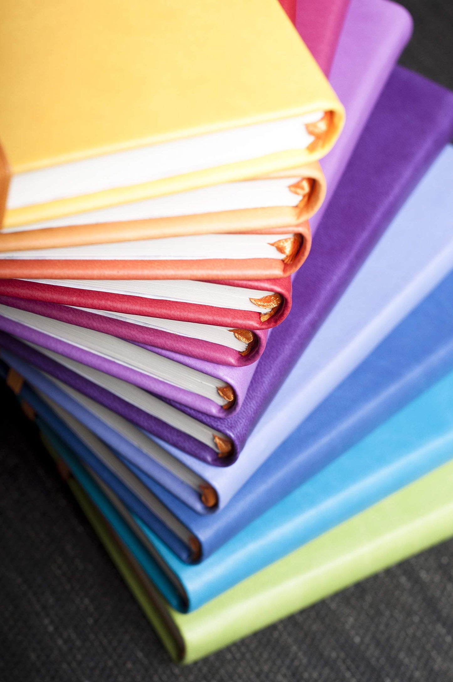 Rhodia Rhodiarama Leatherette Softcover Notebook