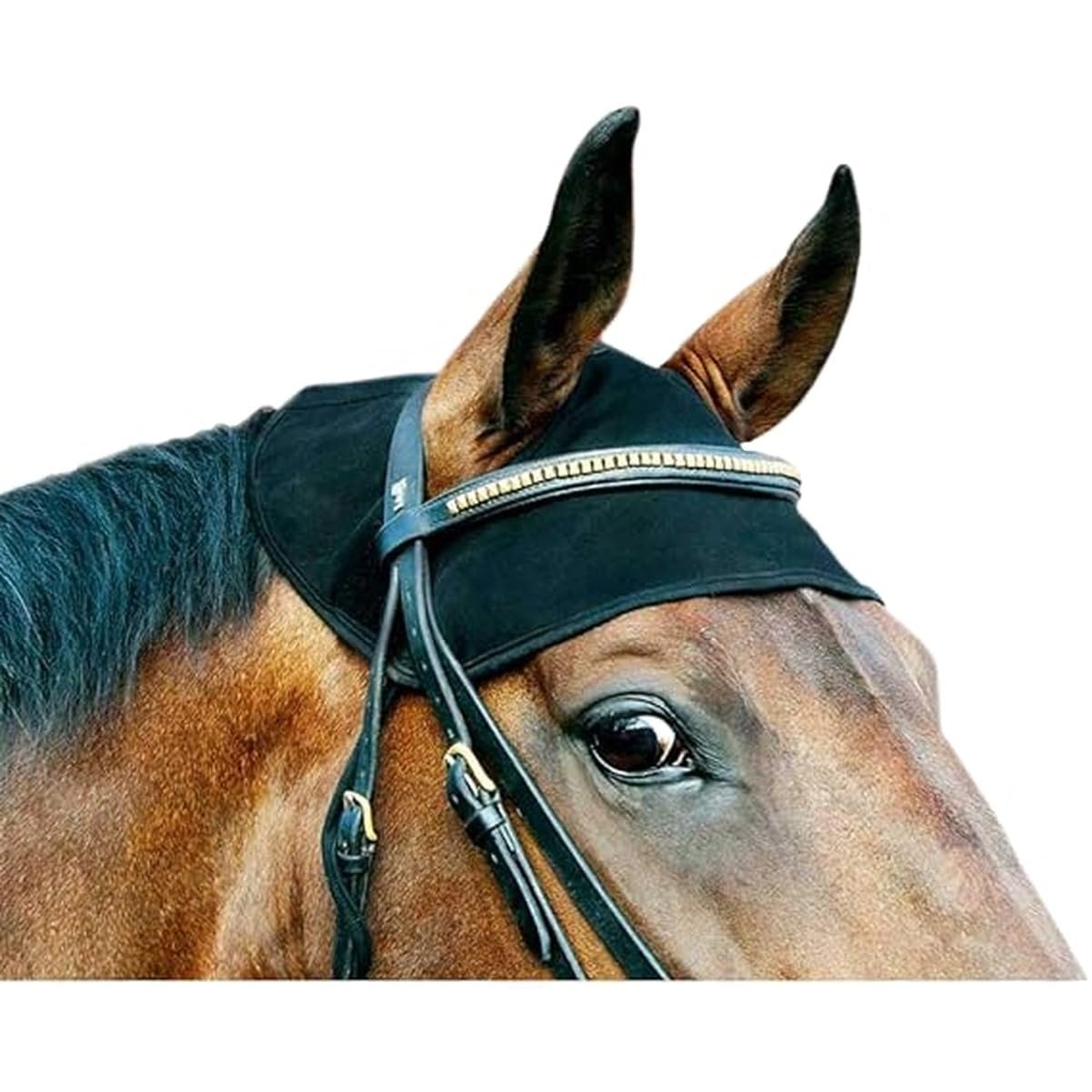 Back on Track Halter