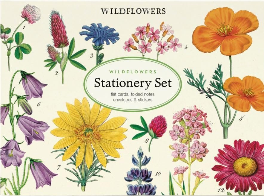 Cavallini Papers & Co. Wildflowers Stationery Set