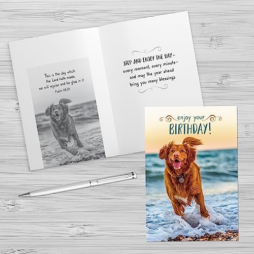 Designer Greetings Faithfully Yours Boxed Everyday Assortment Cards