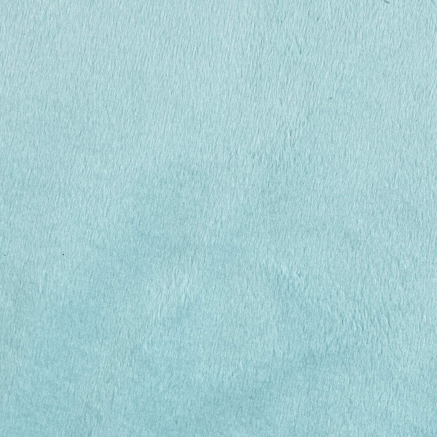 Shannon Fabrics Minky Solid Cuddle 3 Extra Wide Fabric by The Yard