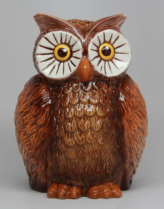 Pacific Giftware PTC 6 Inch Owl Bird Savings Piggy/Coin/Money Bank, Brown and White