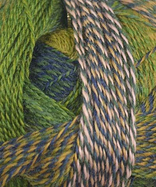 Schoppel Wolle - Zauberball Crazy Knitting Yarn - Green/Navy/ Peach (# 2292)