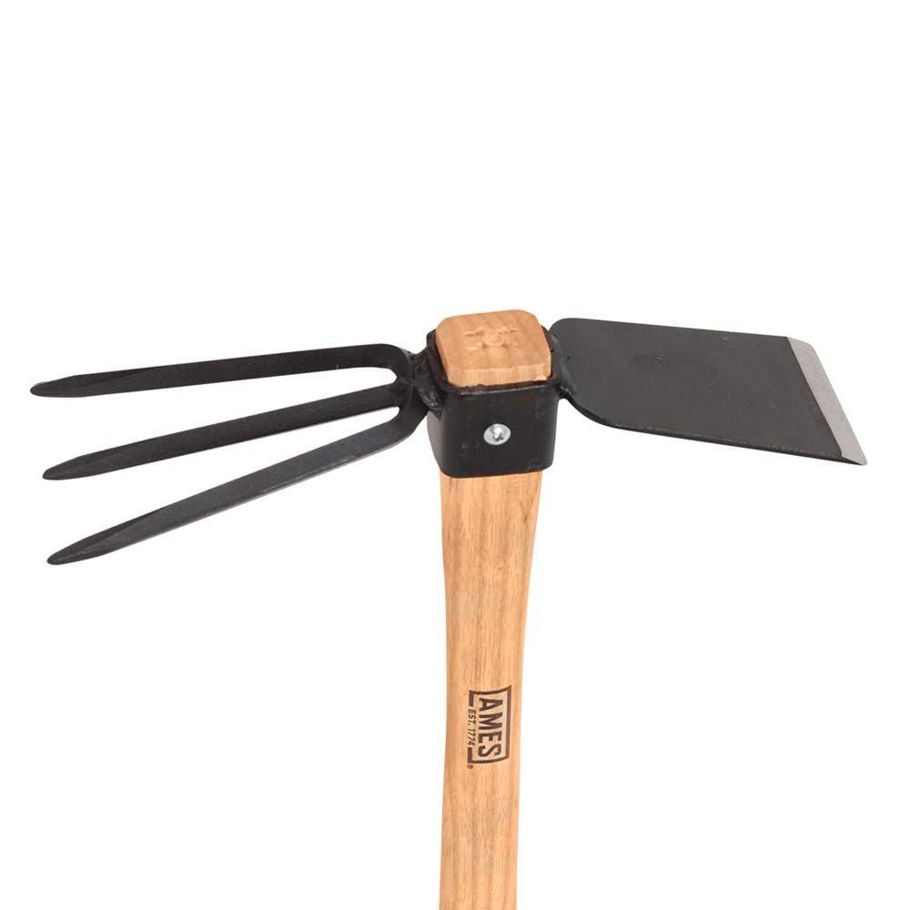 AMES The Companies, Inc 1994800 Hoe/Cultivator Combo with Wood Handle
