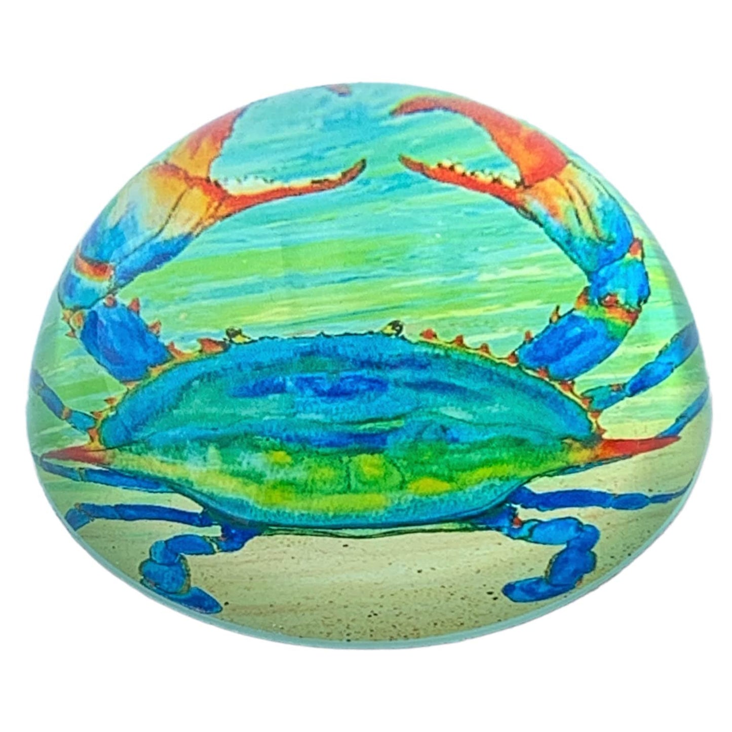 Value Arts Chesapeake Blue Crab Paperweight, Glass Dome, Gift Box, 3" Diameter