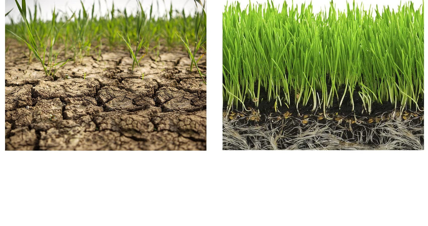 Soil Moist Sap Super Absorbent Polymer Water-Storing Crystal Gel Commercial Grade