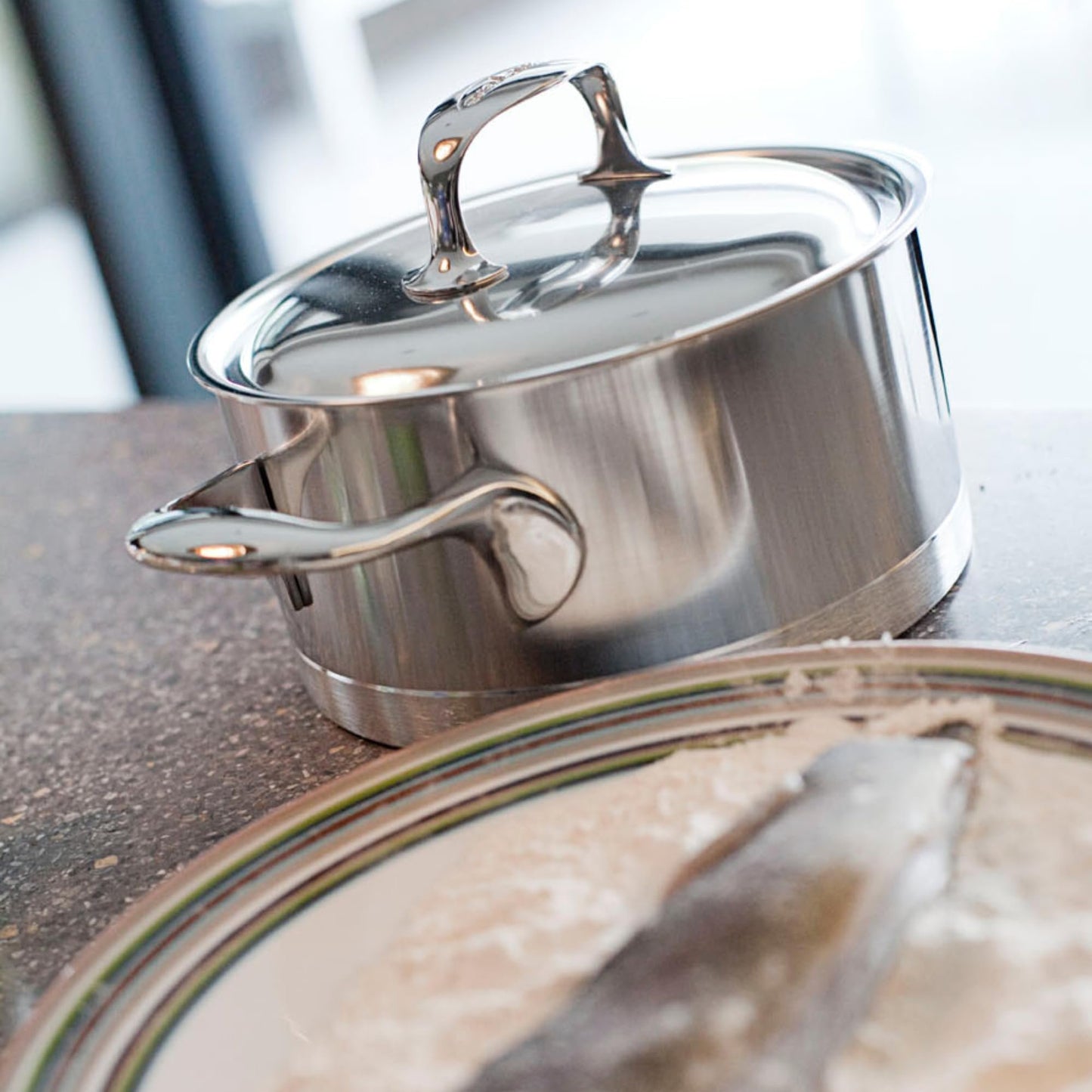 Demeyere Stainless Steel Dutch Oven