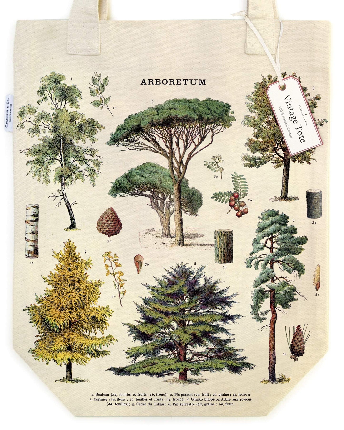 Cavallini Papers & Co. Arboretum Tote Bag, Multi