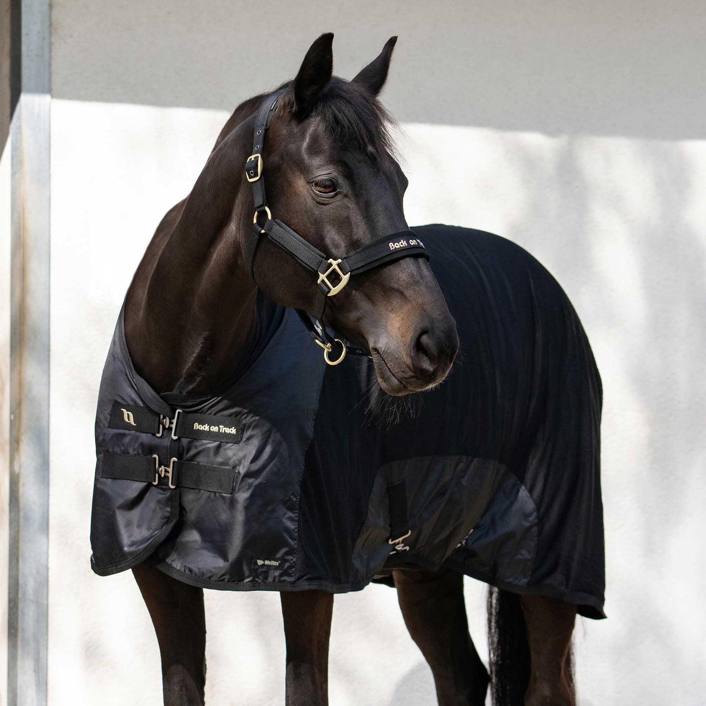 Royal Mesh Sheet for Horses 2214 Welltex Technology