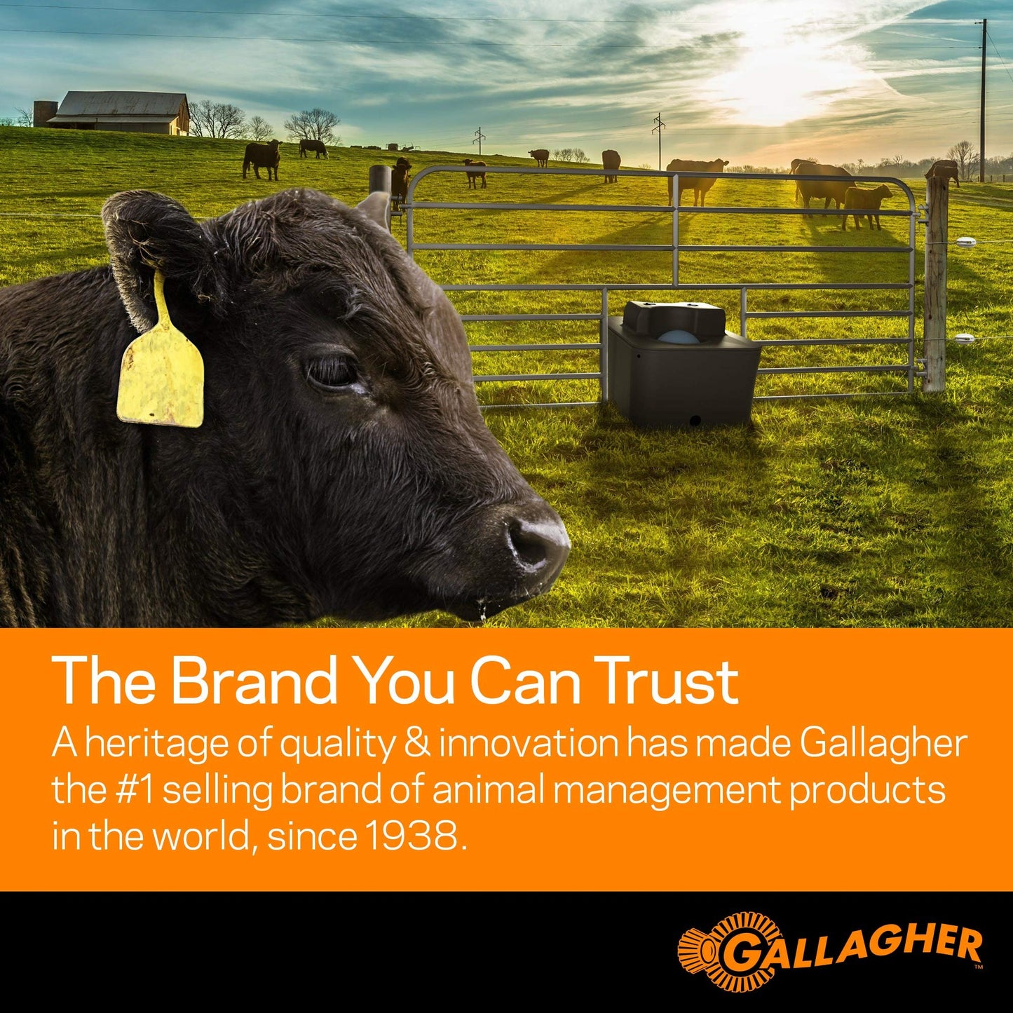 Gallagher M1500 Electric Fence Energizer | 110V Plug-in Fence Charger for Livestock, Horses, and Large Pastures | Powers Up to 160 Miles of Fence | Low Impedance, Built-in Lightning Protection