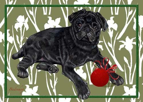 Pipsqueak Pug Christmas Cards Black : 10 Holiday Cards with Red Envelopes - ADORABLE!