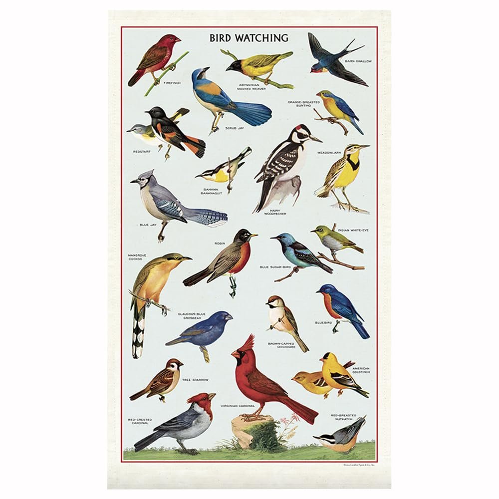 Cavallini & Co. Tea Towel- Bird Watching