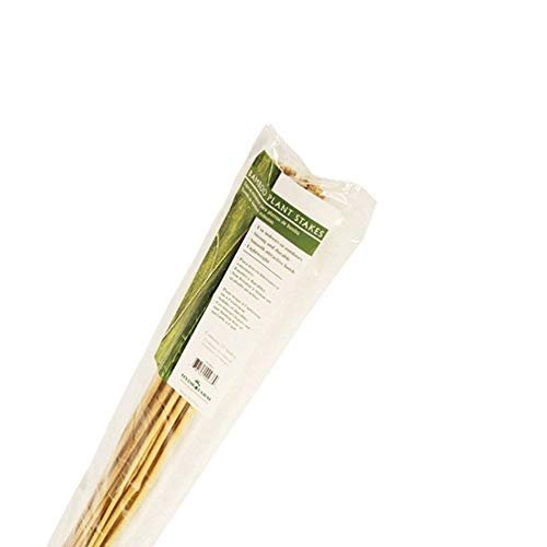 Hydrofarm Natural Bamboo Stake
