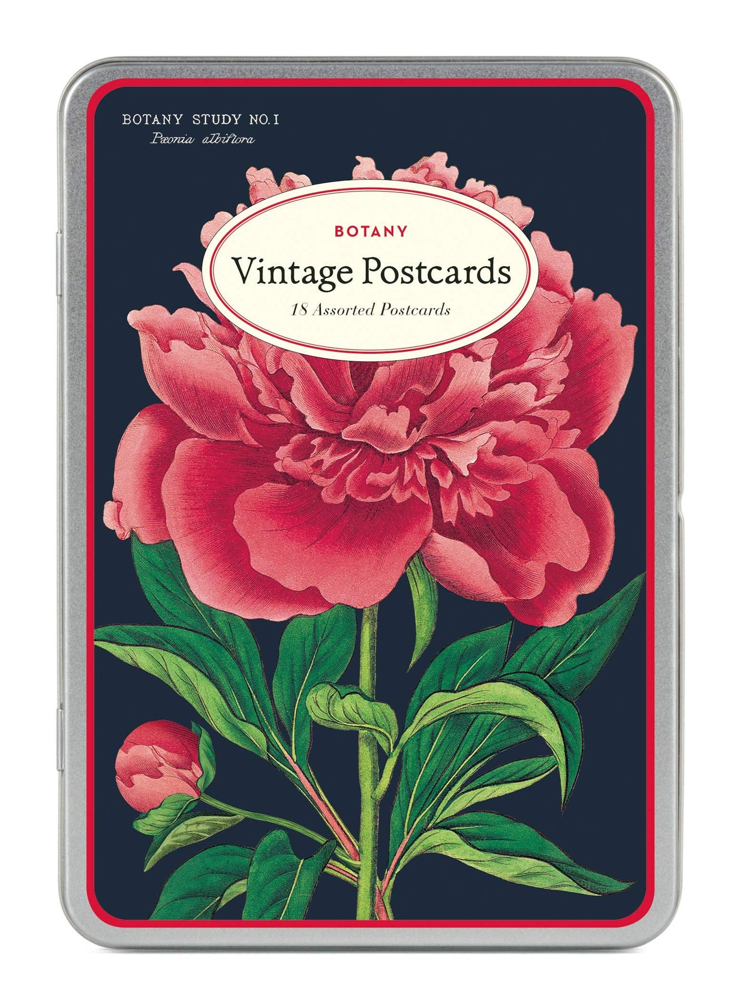Cavallini & Co. Botany Vintage Postcard Set