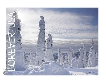 United States Postal Service Winter Landscapes 2025