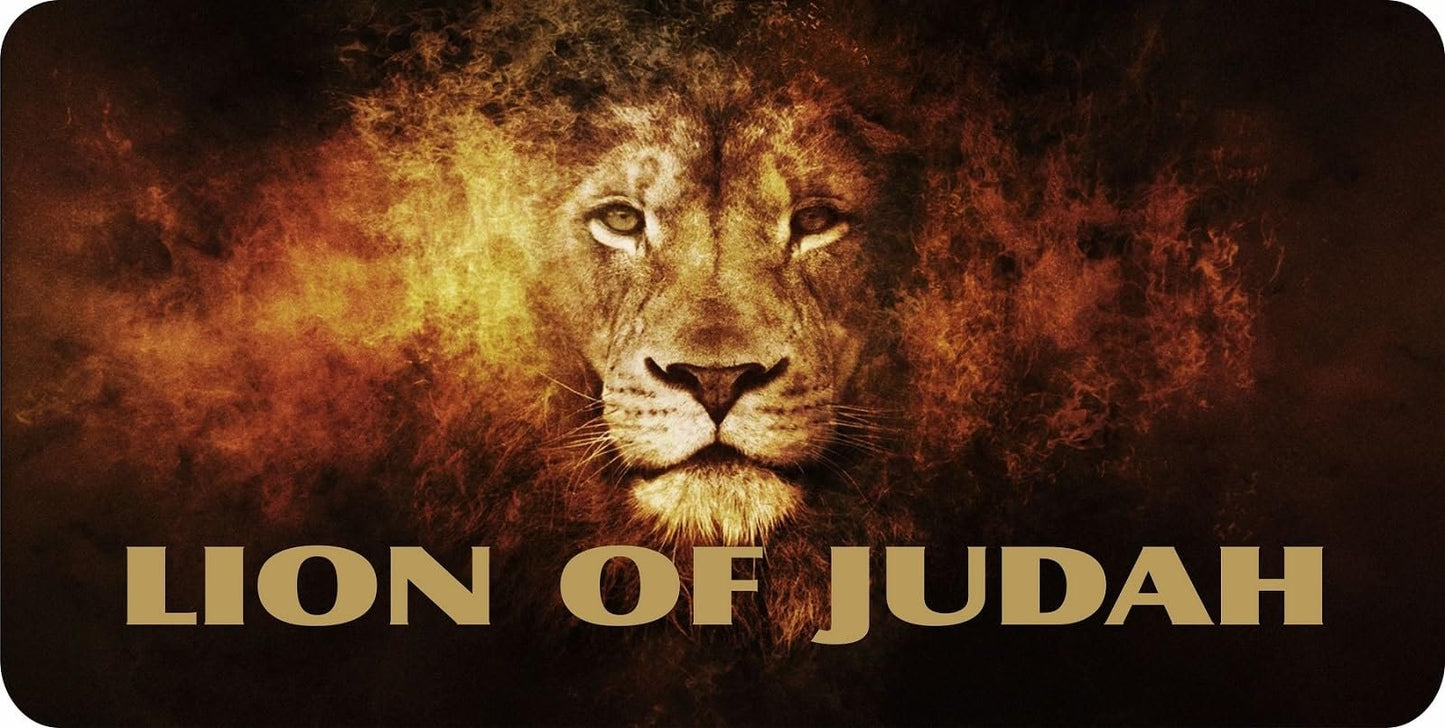 Lion of Judah Photo License Plate