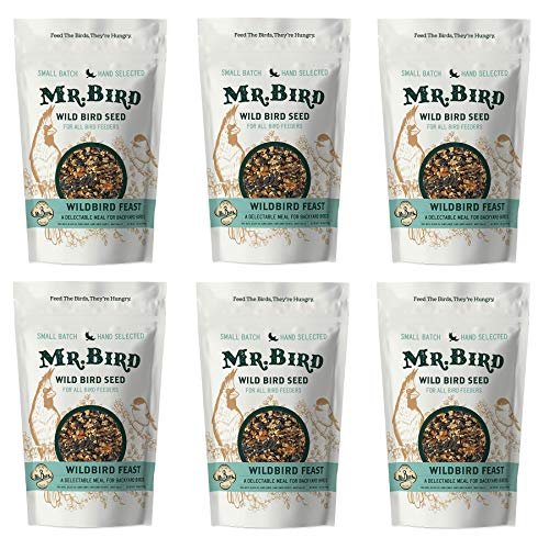 Mr. Bird 6-Pack WildBird Feast Large Loose Seed Bag 4 lbs.
