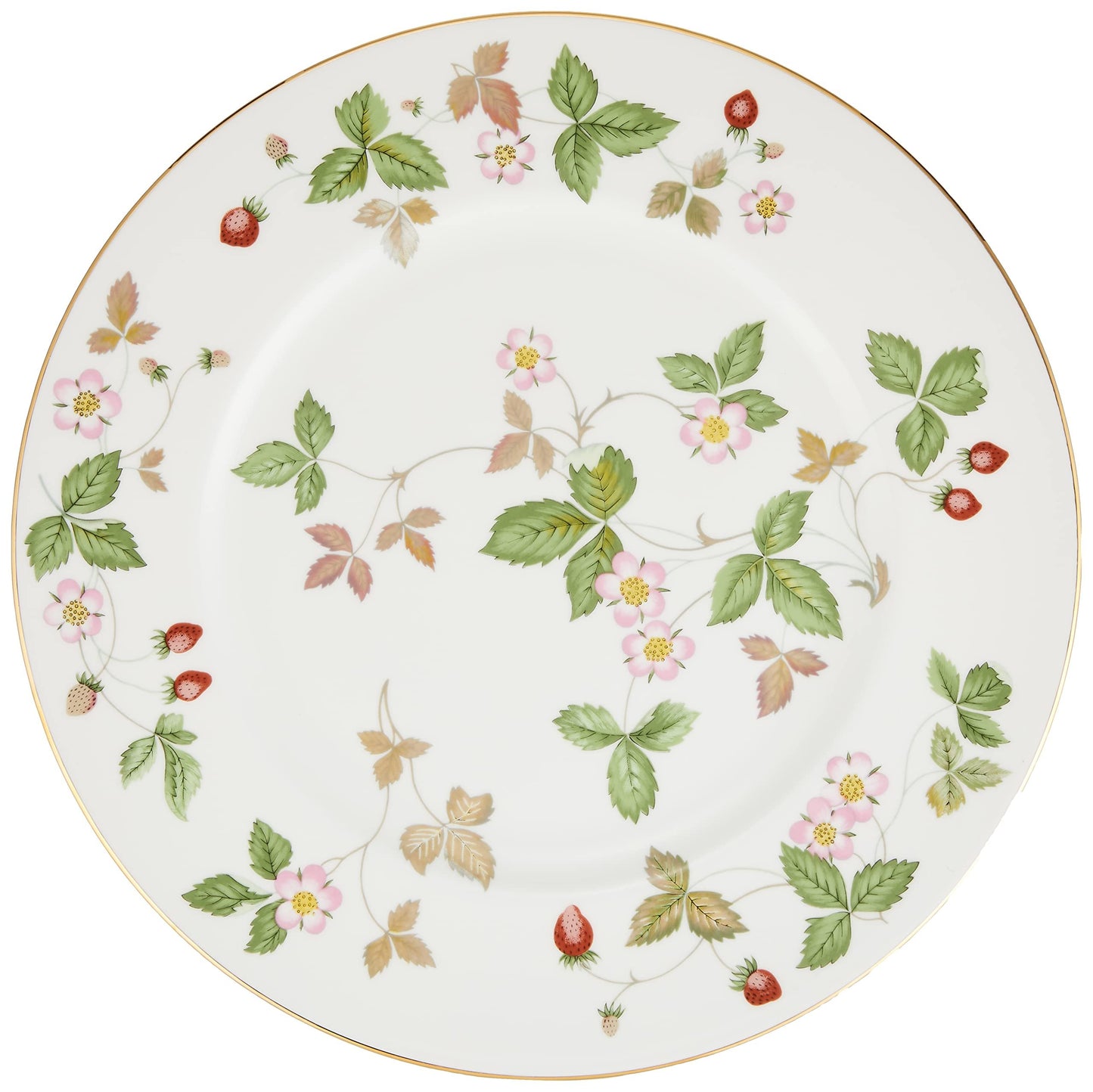 Wedgwood Wild Strawberry Dinner Plate, 10.7", Multi
