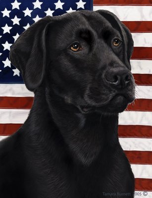 Best of Breed Black Labrador Patriotic II Garden Flags