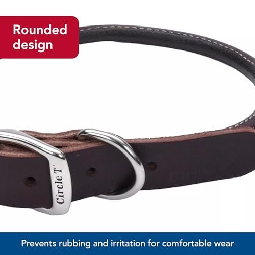Coastal Pet Circle T Latigo Leather Round Dog Collar - Handcrafted Leather Pet Collar for Dogs - Comfortable Dog Collar for Dogs with Long Hair or Sensitive Skin