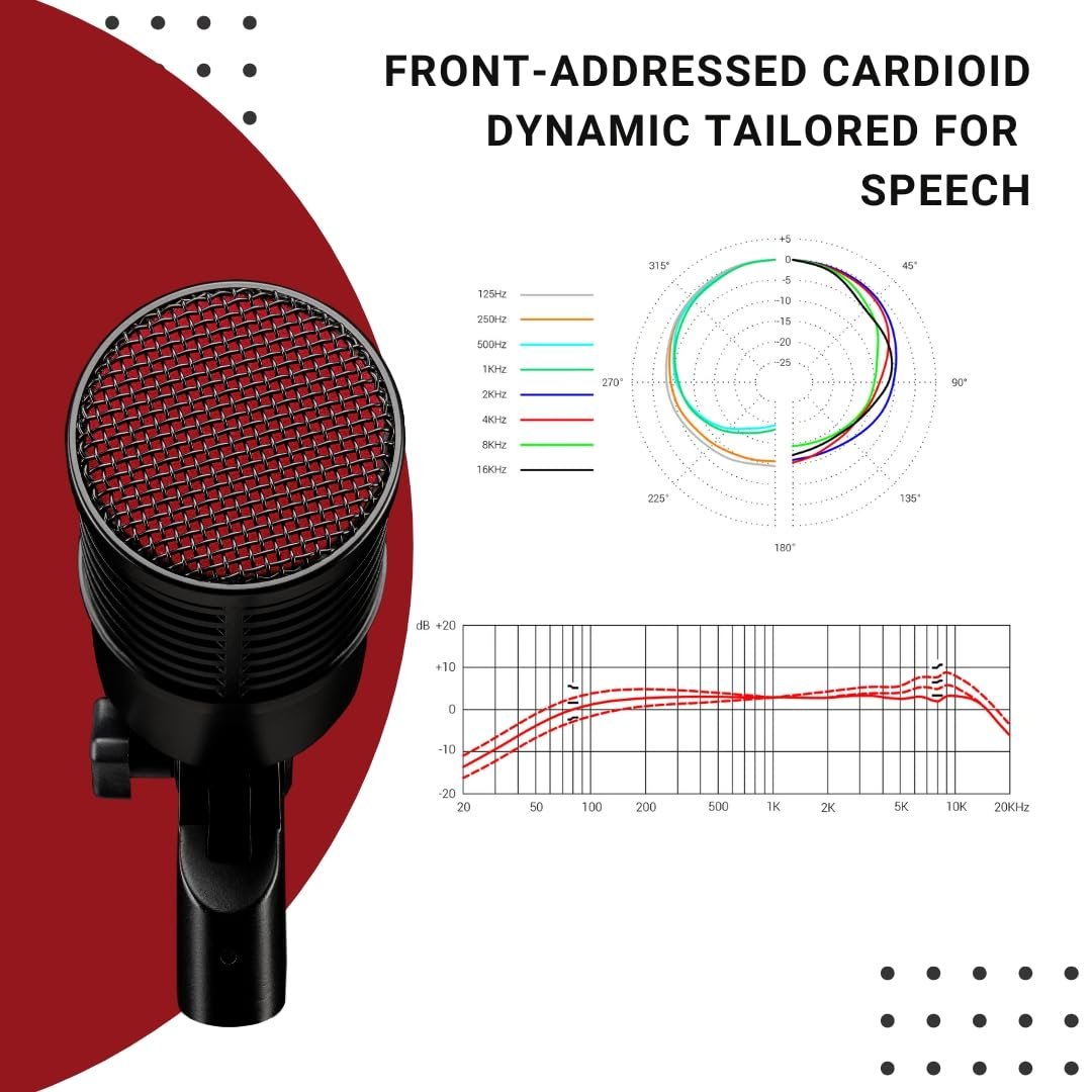 SE ELECTRONICS Dynacaster Dynamic Broadcast Microphone with Built-in Dynamite Pre-amp