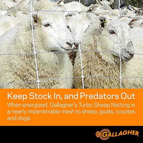 Gallagher 35" x 164' Electric Net Fence for Goats, Sheep, Garden Protection & Predator Control | Heavy-Duty Braided Turbo Wire Livestock Netting | Portable, Reusable Fence for Homesteads & Ranches