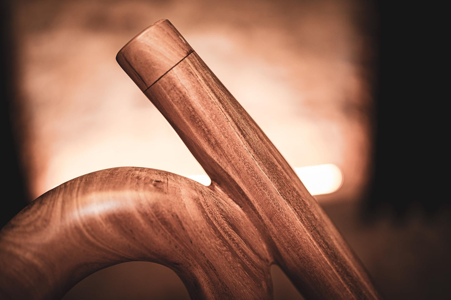 Meinl Sonic Energy S-shaped Professional Didgeridoo for Sound Healing Therapy, Yoga, Meditation and Circular Breathing — NOT MADE IN CHINA — 19.7" Mahogany Shell, Tuned to C, DDPROFSC