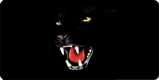 Black Jaguar License Plate