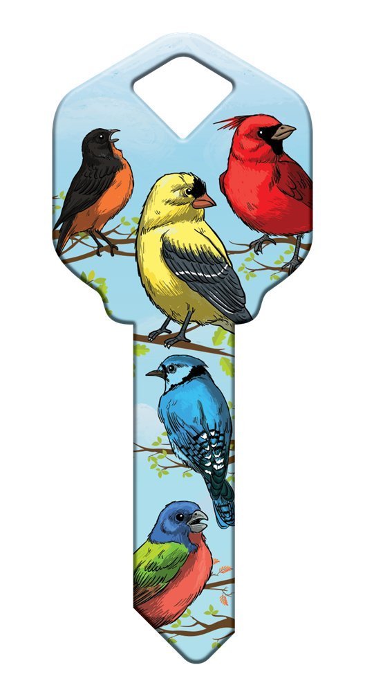 Set of 5 Uncut Blank Designer SC54 Birds Replacement House Keys for SC1 Schlage Style Locks