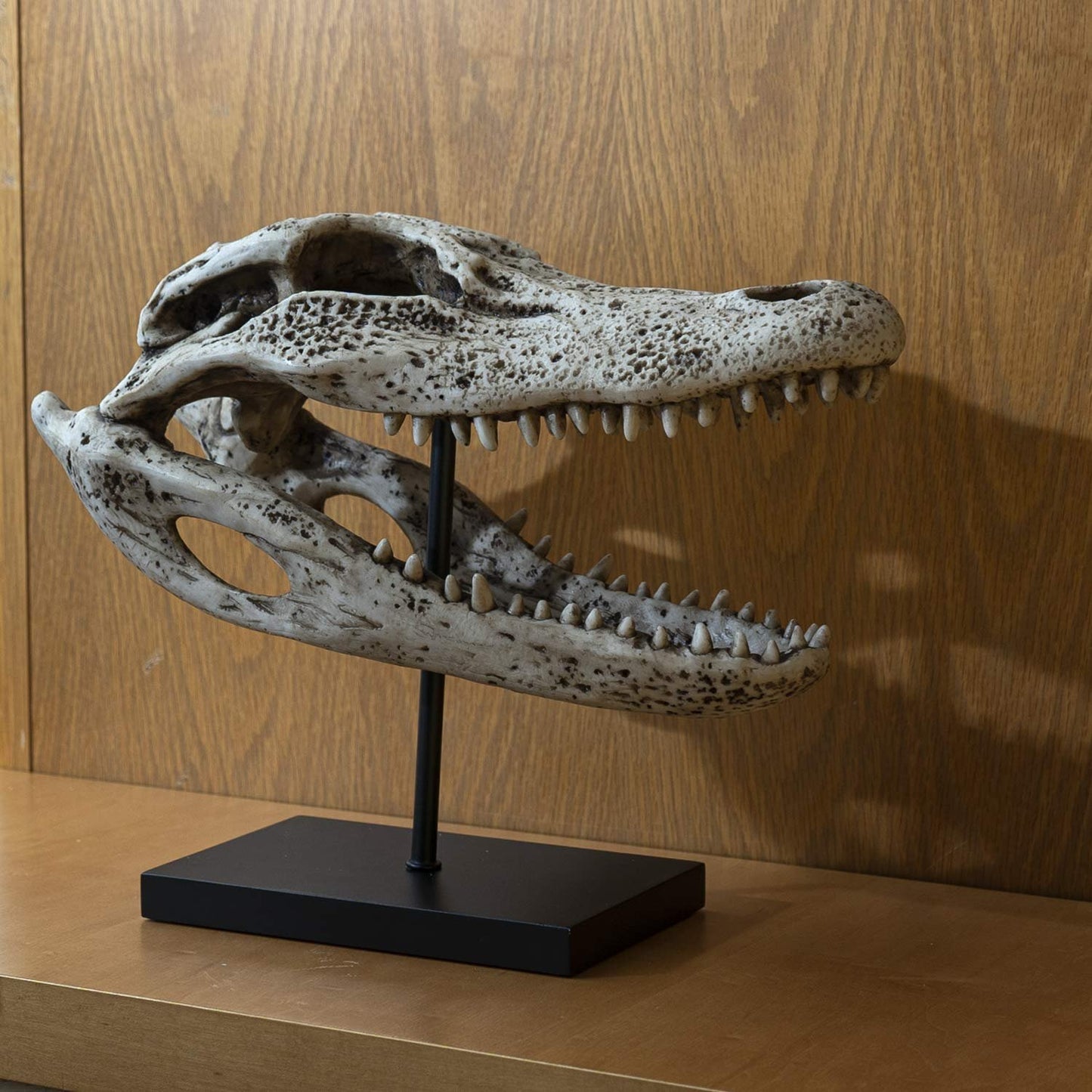 Pacific Giftware Replica Animals Alligator Skeleton Skull Fossli Resin Figurine