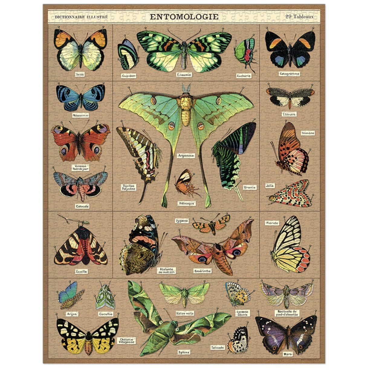 Cavallini & Co. Entomology Puzzle, 1000 Pieces