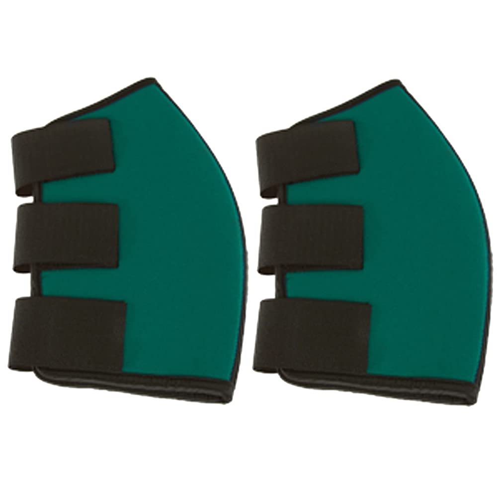 HILASON Neoprene Hock Sweat Boots Horse Size Strengthens Protects Turquoise Pair