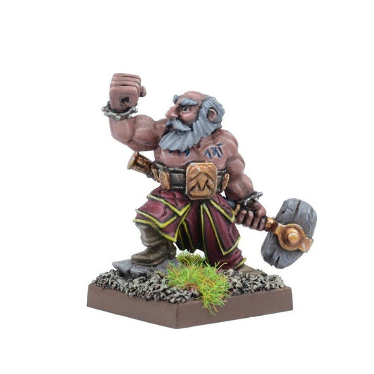 Mantic Games MGKWD201 Dwarf Stone Priest Play Set