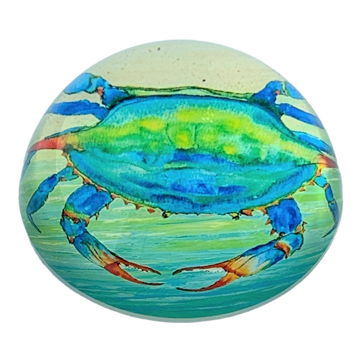 Value Arts Chesapeake Blue Crab Paperweight, Glass Dome, Gift Box, 3" Diameter