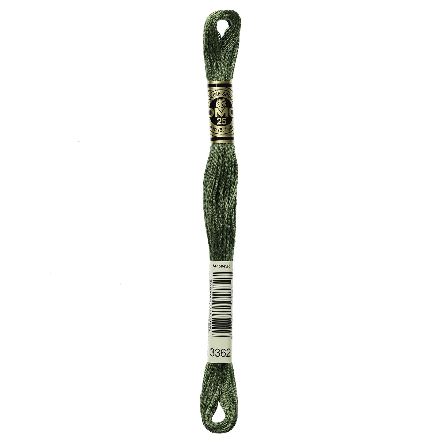 Dmc 6-Strand Embroidery Cotton 8.7yd-Dark Pine Green