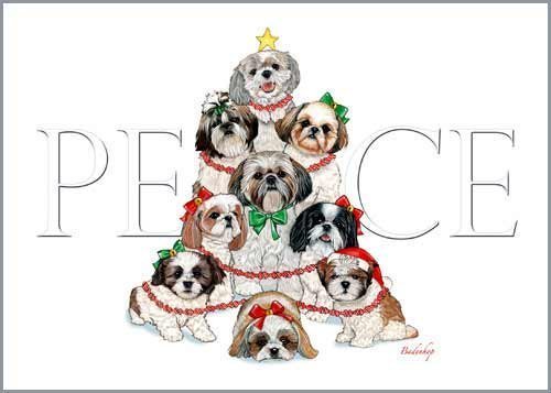 Shih Tzu Christmas Cards : 10 Holiday Cards with White Envelopes - ADORABLE!