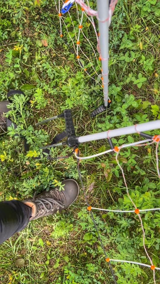 Gallagher 48" x 82' Electric Poultry Netting | Highly Conductive Braided Electric Chicken Fencing with Double-Spiked Fiberglass Posts | Electric Fencing for Backyards, Pastures, Farms and Homesteads