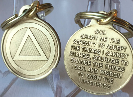 Circle Triangle AA Key Chain 1" Bronze Alcoholics Anonymous Key Tag Charm