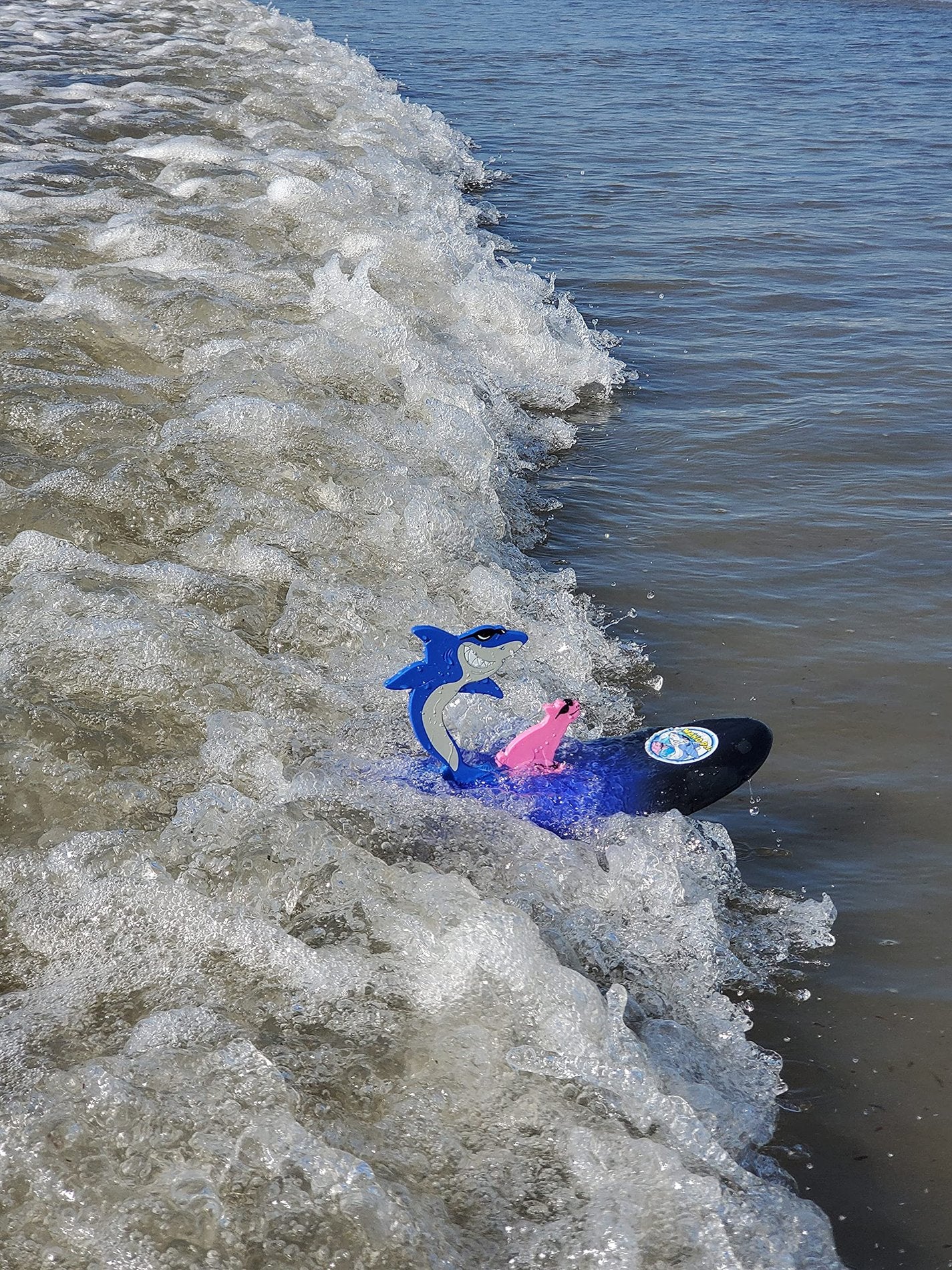 Surfer Dudes Legends & Surfer Pets Wave Powered Mini-Surfer, Pet and Surfboard Beach Toy