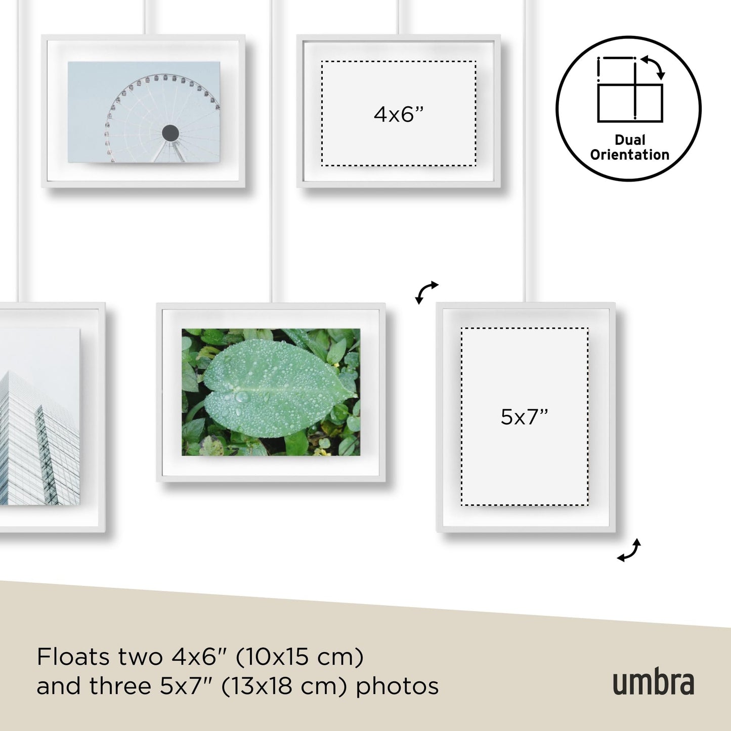 Umbra Exhibit Wall Picture