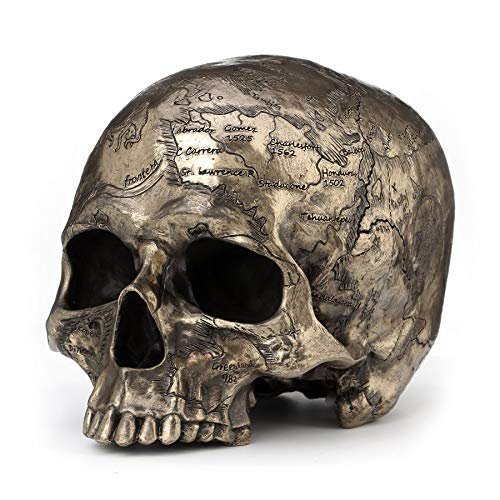 Veronese Design Craniumography Old Treasure Map Skull