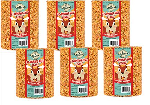Mr. Bird Flaming Hot Feast Large Wild Bird Seed Cylinder 4 lb. 3 oz.