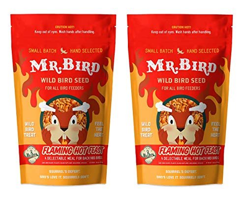 Mr. Bird Flaming Hot Feast Large Loose Seed Bag 4 lbs.
