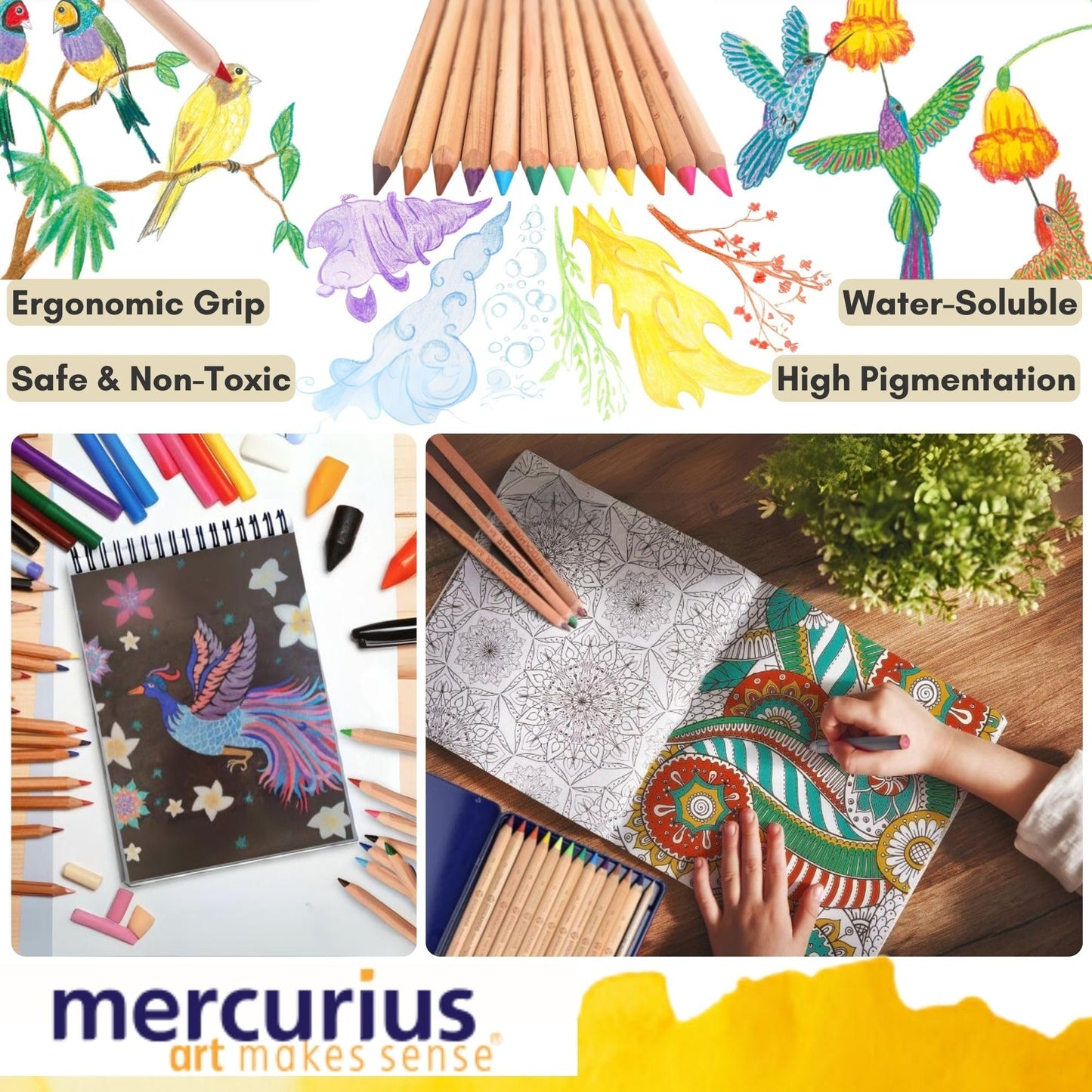 Mercurius AMS Color Giant Pencils, Set of 12 in Tin Case