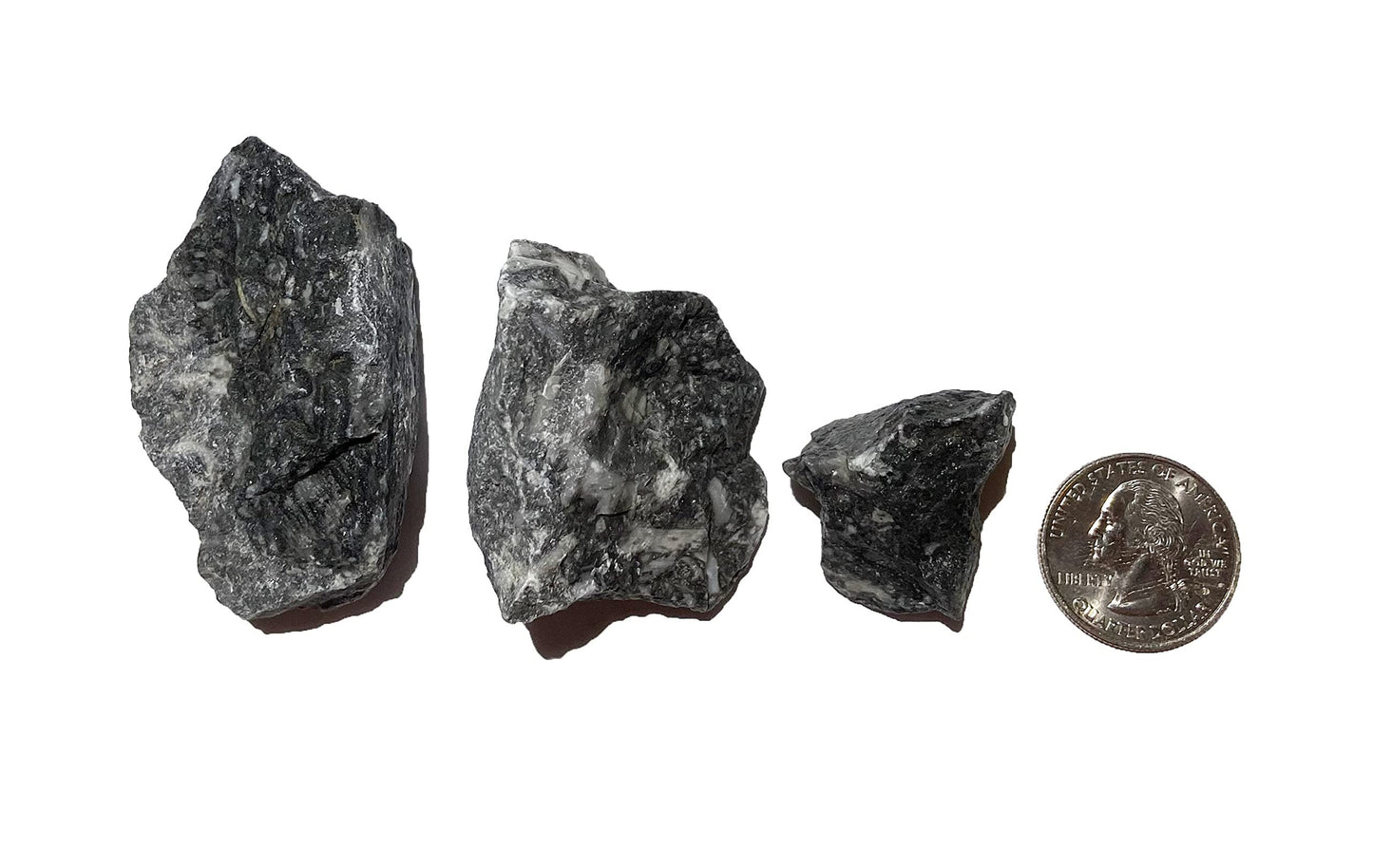 Zentron Crystal Collection Rough Fossil Stone