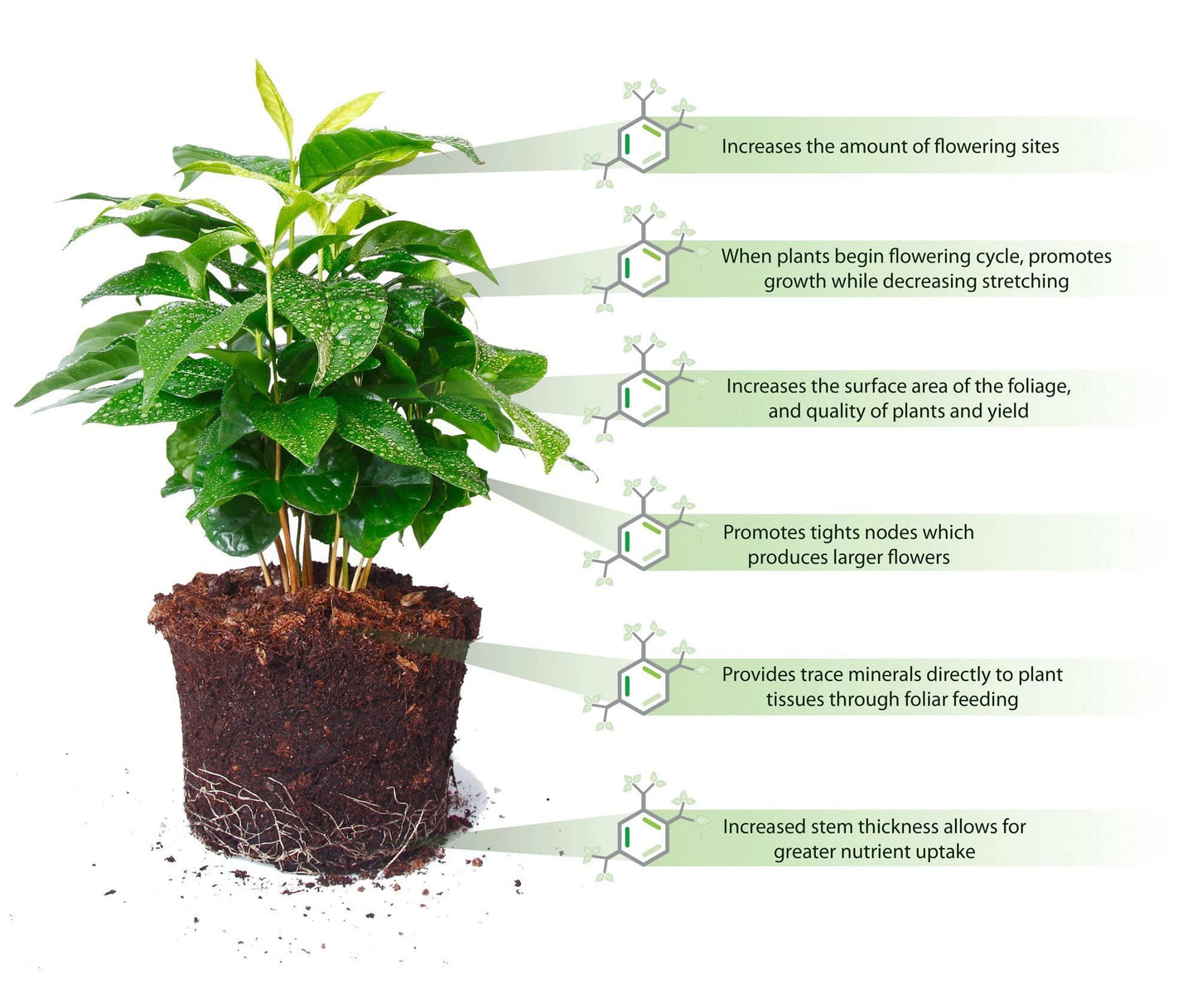Soil Moist Sap Super Absorbent Polymer Water-Storing Crystal Gel Commercial Grade