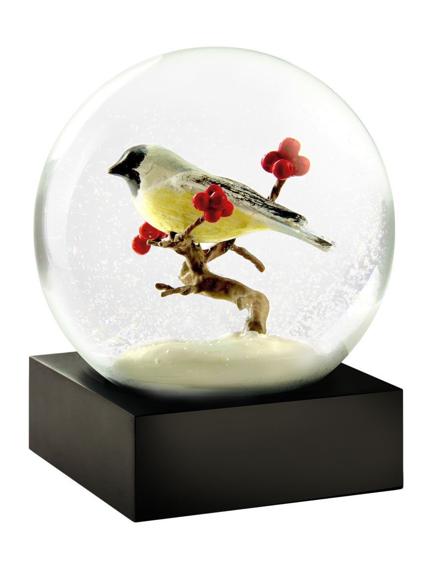 CoolSnowGlobes Wild Birds of Nature Snow Globes