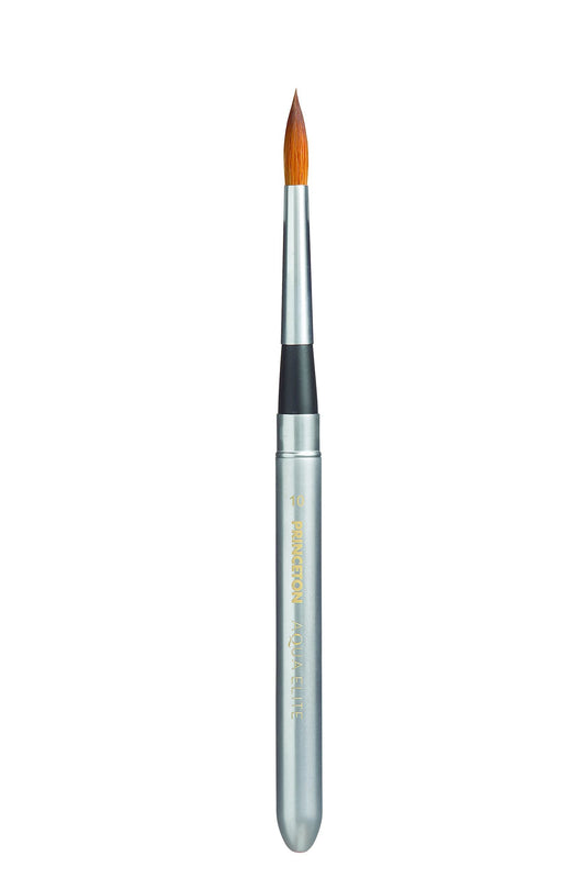 Princeton Paintbrush