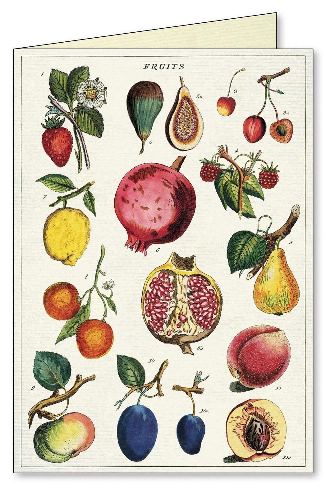 Jardin Boxed Note Cards